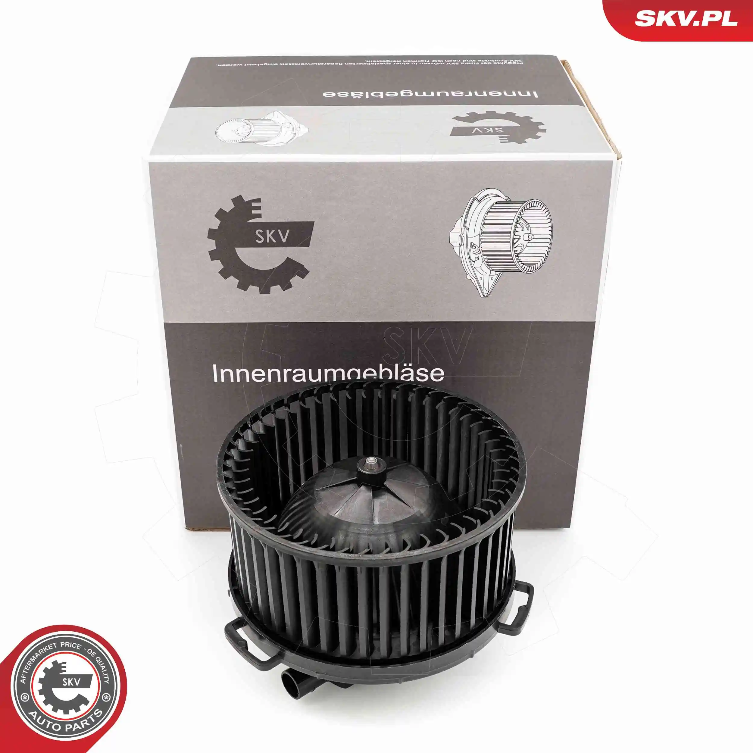 Interior Blower